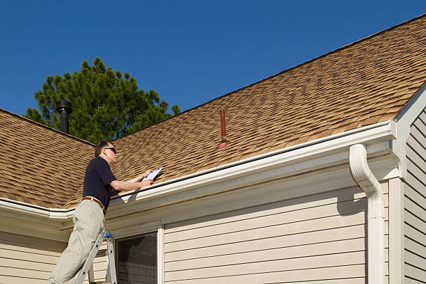 Best Roof Moss and Algae Removal  in Delphi, IN